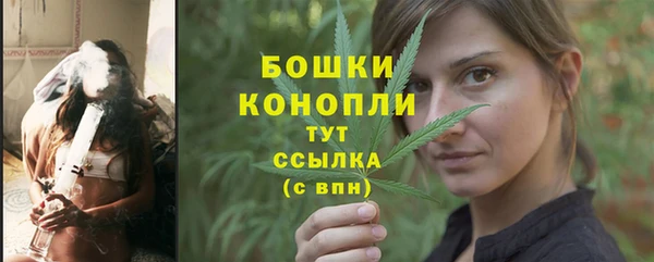 дживик Гусь-Хрустальный