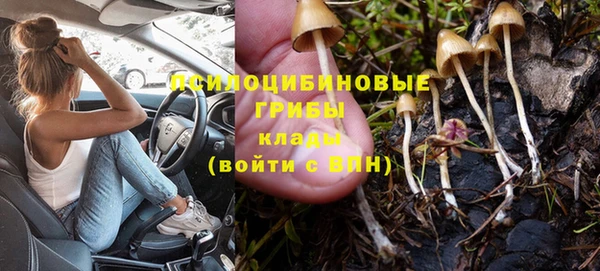 стафф Гусиноозёрск