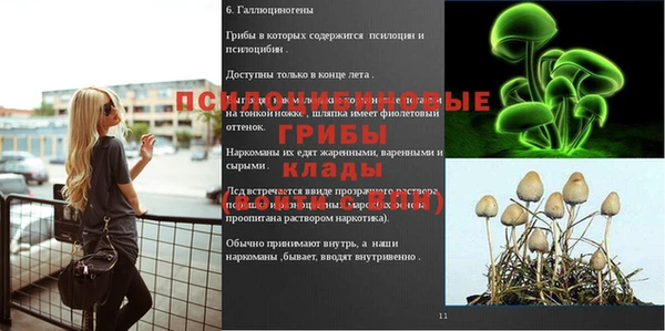 стафф Гусиноозёрск