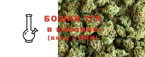 дживик Гусь-Хрустальный